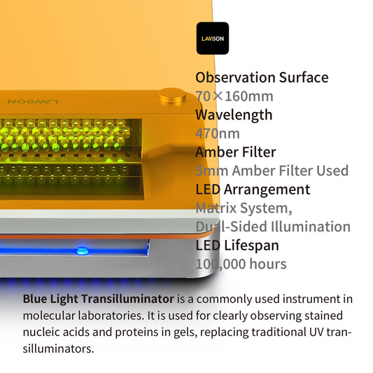 Blue LED Light Transilluminator,Blue Light Gel Cutter,DBLT-470