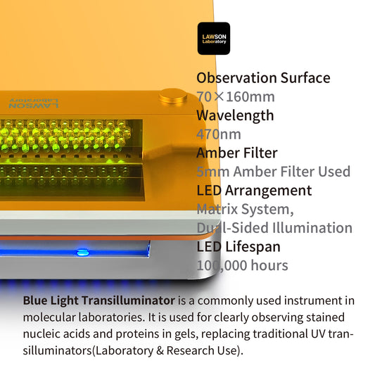 Blue LED Light Transilluminator,Blue Light Gel Cutter,DBLT-470