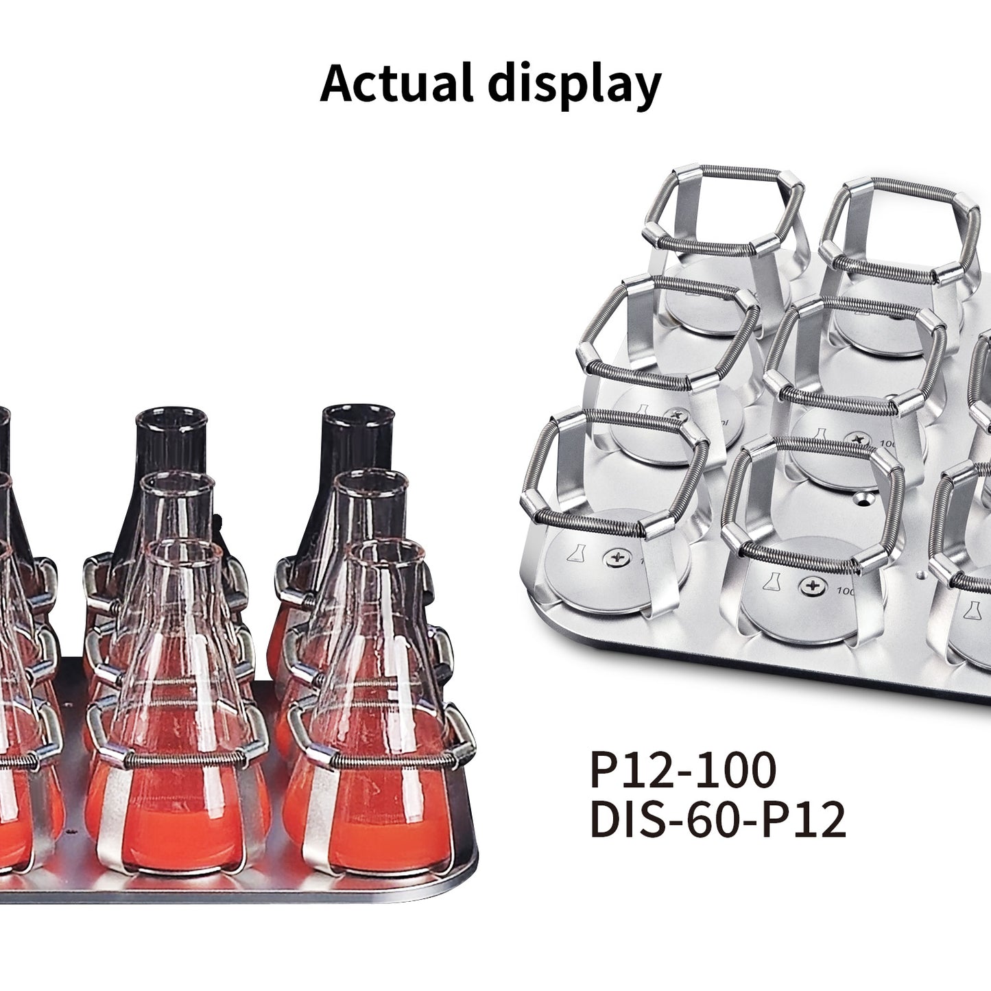Benchtop Incubator Shaker,Orbital Shaker,P12-100,DIS-60-P12